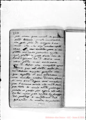 Fotogramma C 3