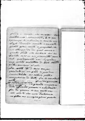 Fotogramma C 11