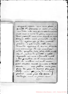 Fotogramma D 10