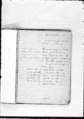Fotogramma C 11