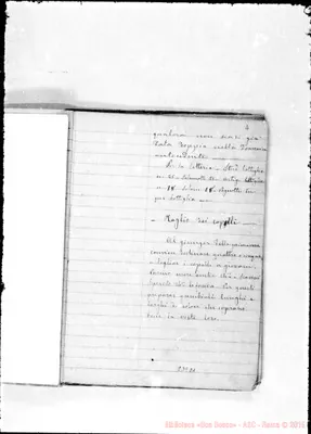 Fotogramma D 1
