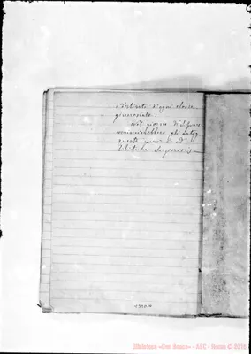 Fotogramma D 10