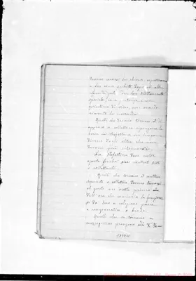 Fotogramma E 11