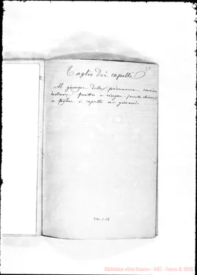 Fotogramma C 12