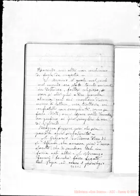 Fotogramma B 2