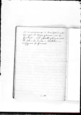 Fotogramma B 11