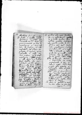 Fotogramma C 3