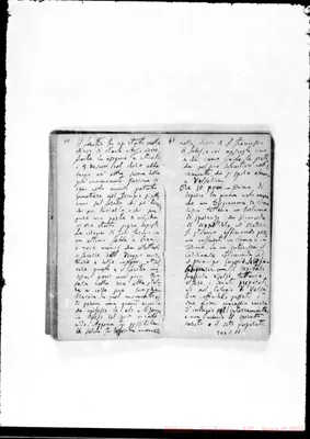 Fotogramma C 11