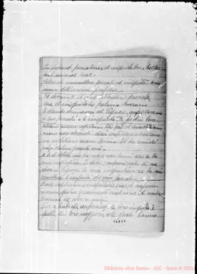 Fotogramma C 2