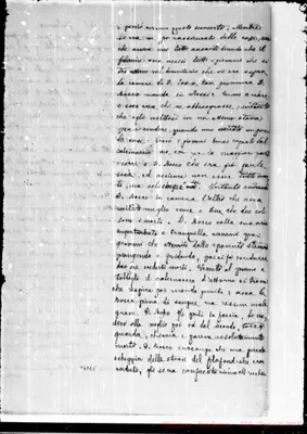 Fotogramma E 5
