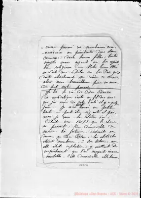 Fotogramma C 11