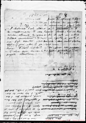 Fotogramma C 11