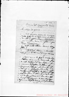 Fotogramma C 11