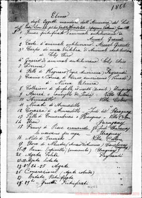 Fotogramma B 3