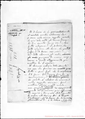 Fotogramma D 11