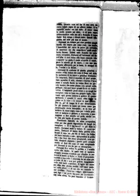 Fotogramma C 4