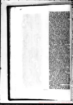 Fotogramma C 8