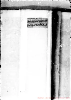 Fotogramma C 5