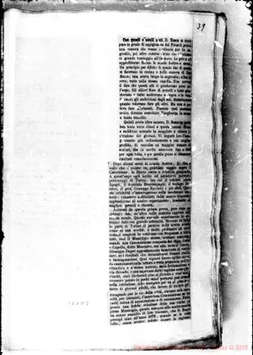 Fotogramma D 3
