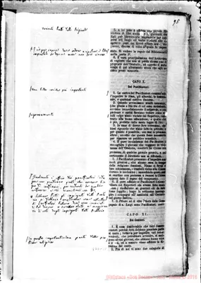 Fotogramma C 11