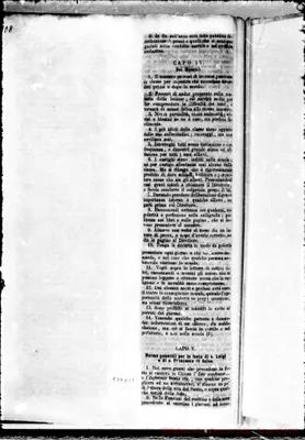 Fotogramma D 12