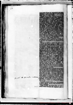 Fotogramma D 11