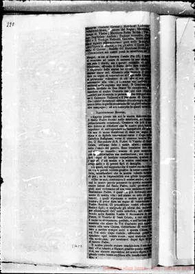 Fotogramma C 5