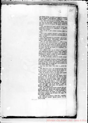 Fotogramma D 12