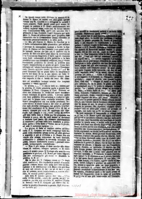 Fotogramma D 8