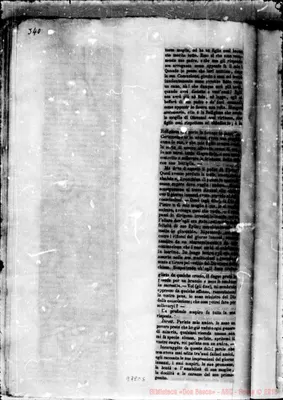 Fotogramma C 5
