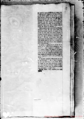 Fotogramma D 10