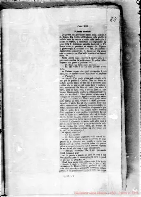 Fotogramma C 10