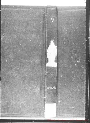 Fotogramma D 12