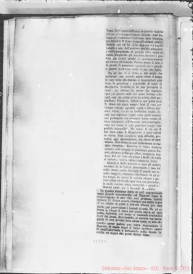 Fotogramma E 4