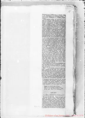 Fotogramma B 2
