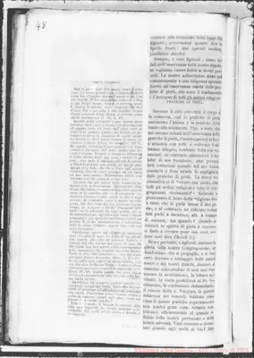 Fotogramma D 11