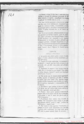 Fotogramma E 11