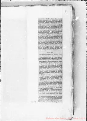 Fotogramma C 2
