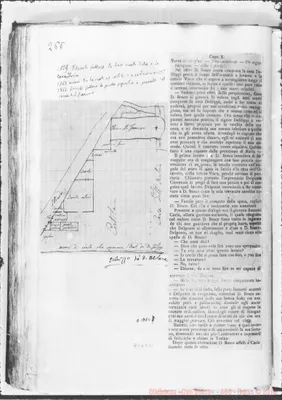 Fotogramma C 11