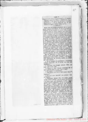 Fotogramma C 11