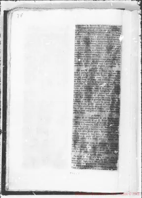Fotogramma C 2