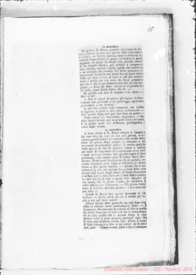 Fotogramma C 11