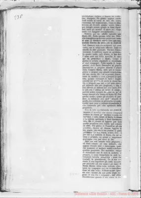 Fotogramma D 11