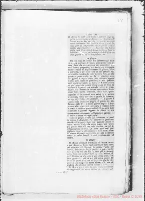 Fotogramma B 8