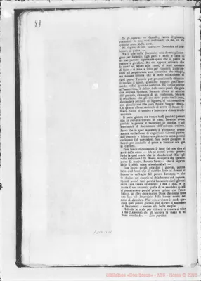 Fotogramma D 11