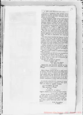 Fotogramma E 11
