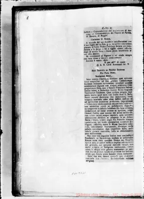 Fotogramma D 11