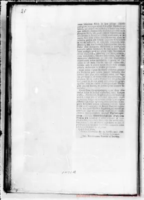 Fotogramma E 11