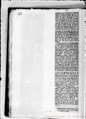 Fotogramma D 11