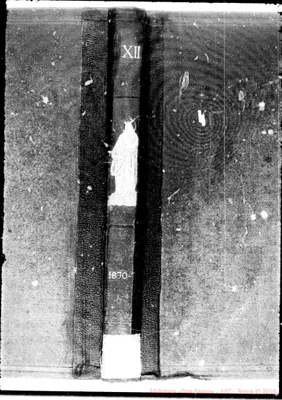 Fotogramma D 4